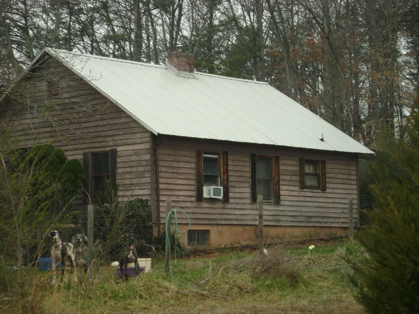 White metal roof on an old wood sided farmhouse, from a Asphalt Shingle Roof Repair job in Acme